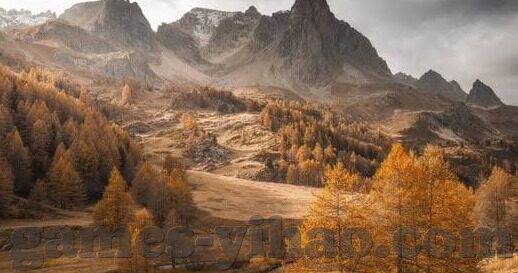 尼日尼亚足球比分-尼日利亚足球比分的风云变幻，赛场激情与国家荣耀的交织